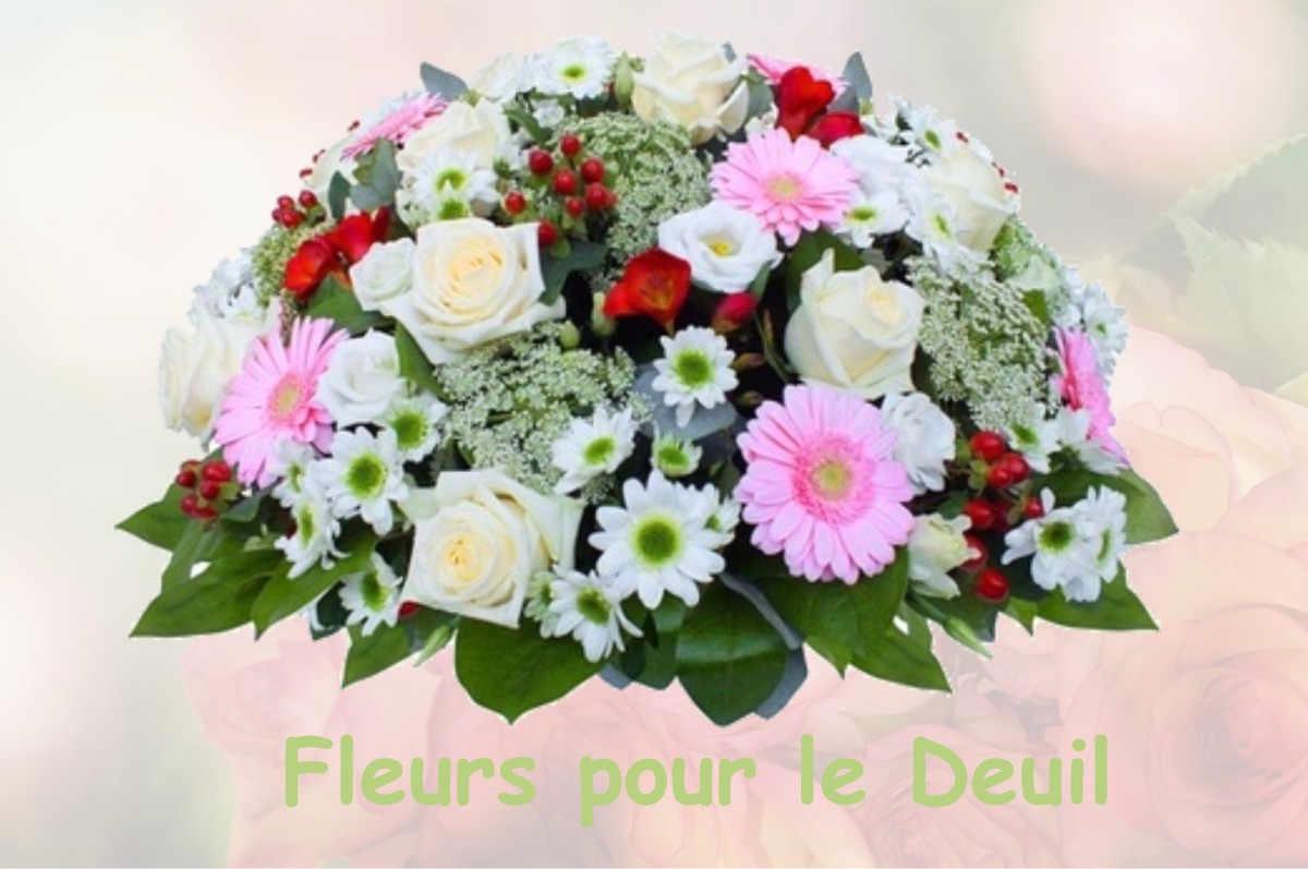 fleurs deuil DOMPIERRE-LES-EGLISES